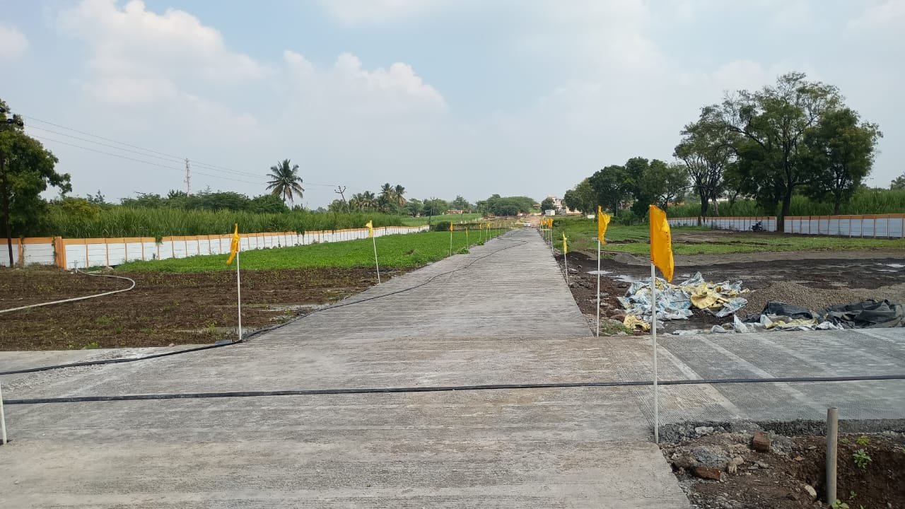 WhatsApp Image 2026-03-04 at 2.50.44 PM (1)