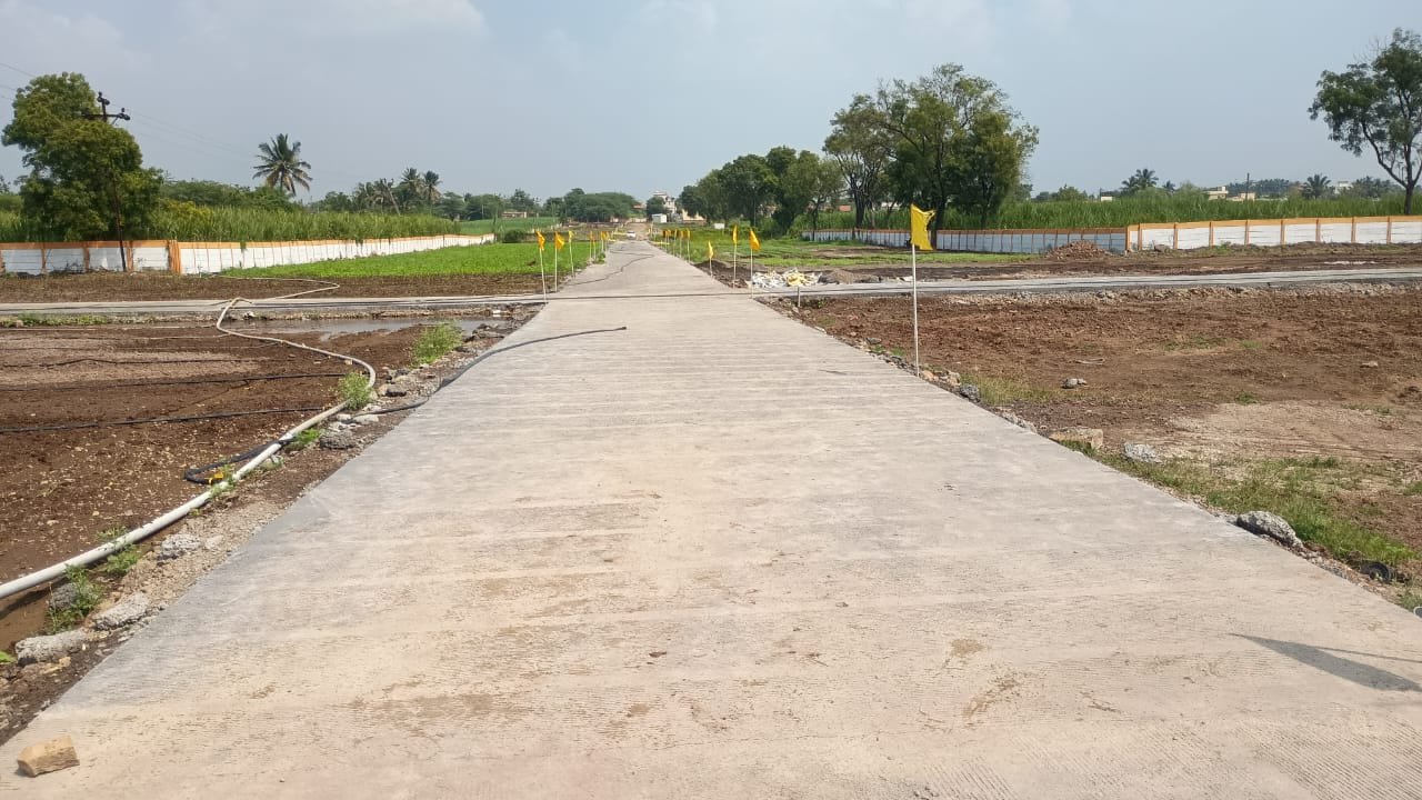 WhatsApp Image 2026-03-04 at 2.50.44 PM