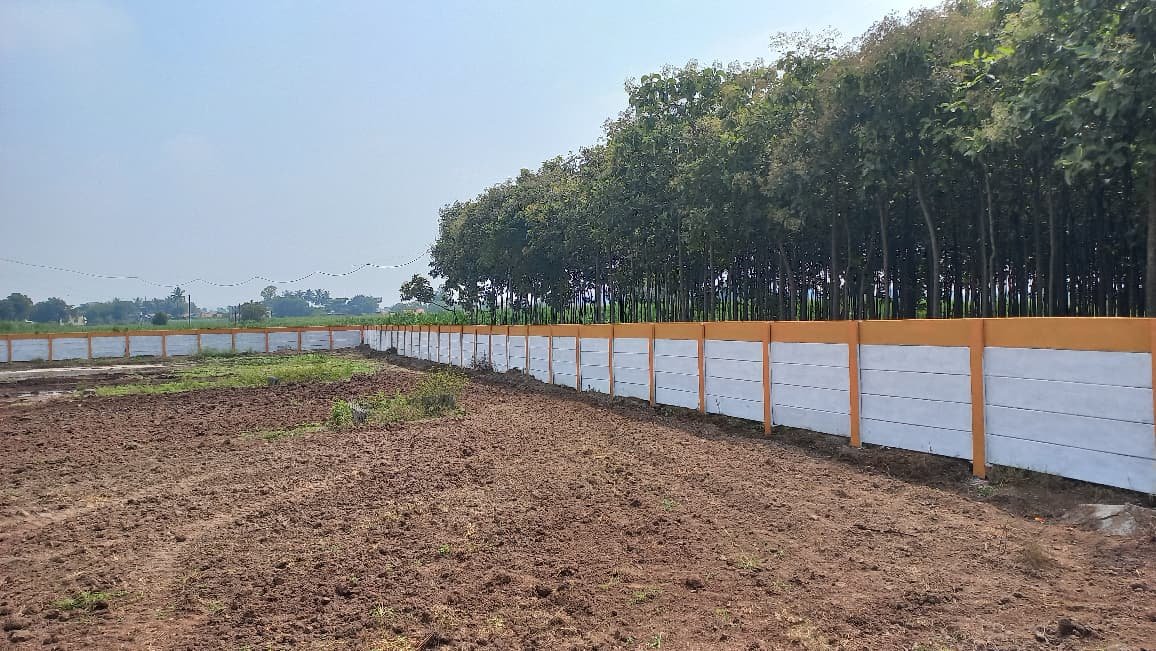 WhatsApp Image 2026-03-04 at 2.50.45 PM