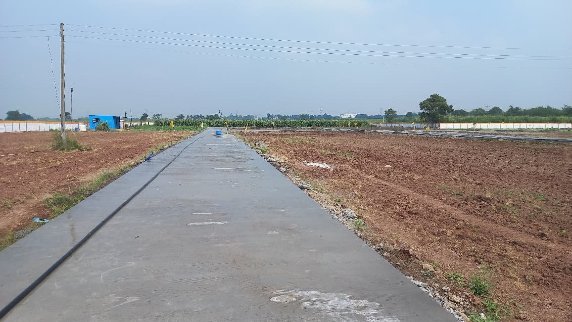 WhatsApp Image 2026-03-04 at 2.50.46 PM