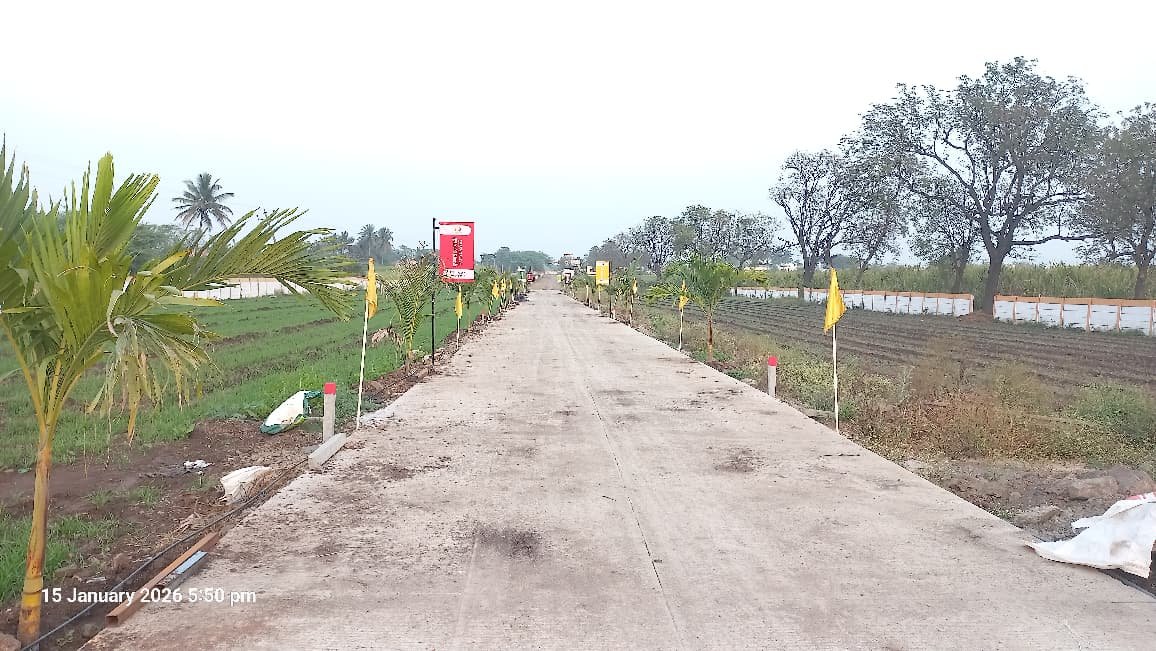 WhatsApp Image 2026-03-04 at 2.50.49 PM