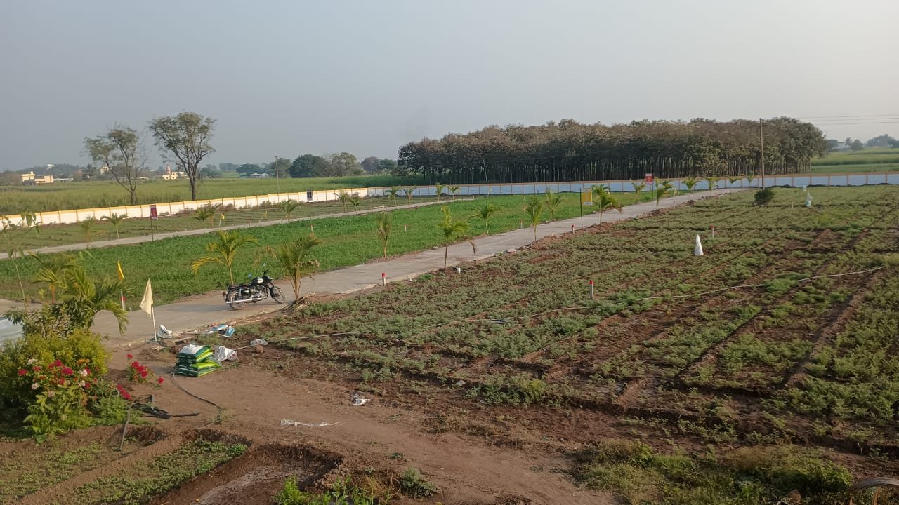 WhatsApp Image 2026-03-04 at 2.50.50 PM (1)