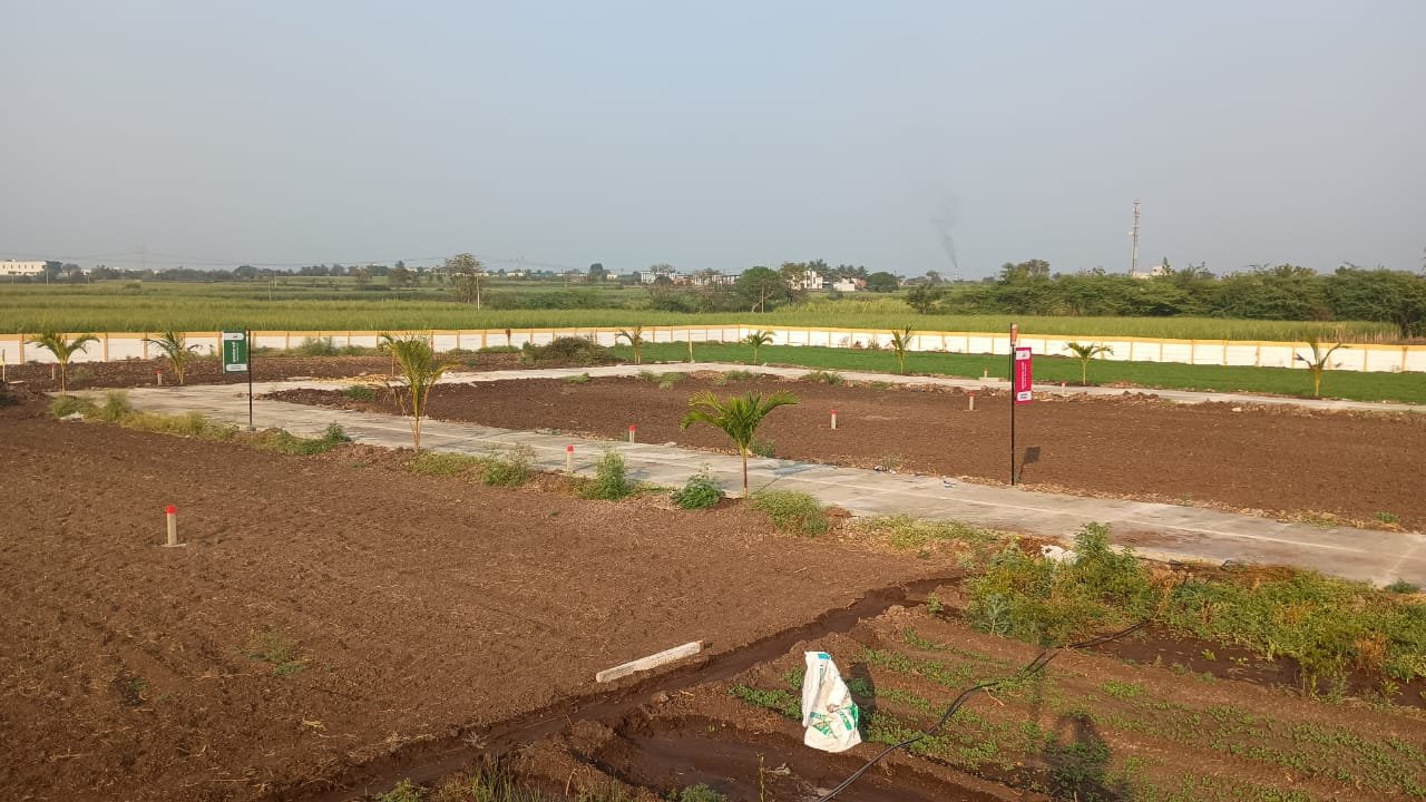 WhatsApp Image 2026-03-04 at 2.50.50 PM (2)