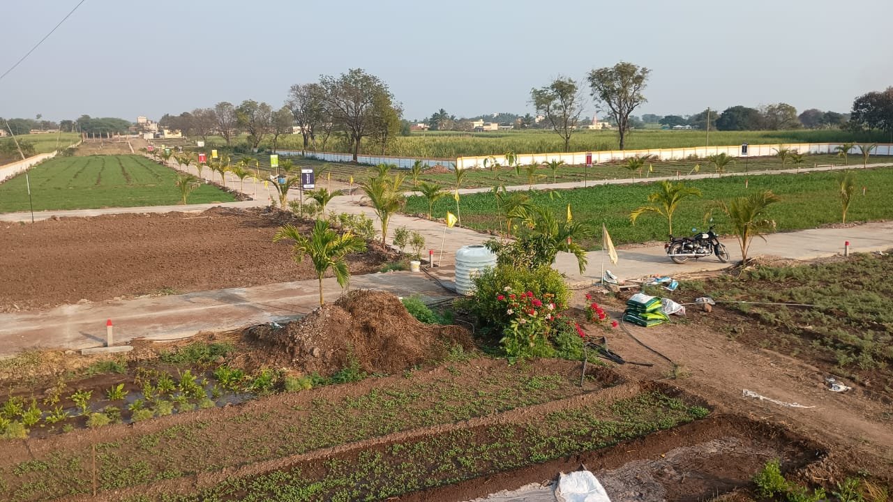 WhatsApp Image 2026-03-04 at 2.50.50 PM