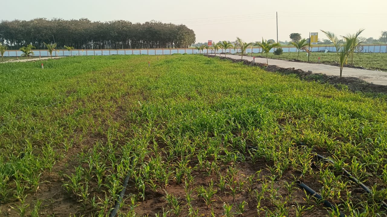 WhatsApp Image 2026-03-04 at 2.50.52 PM